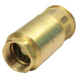 Обратный клапан DN40