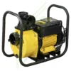 Насос Ø75, 220v, 300л/мин