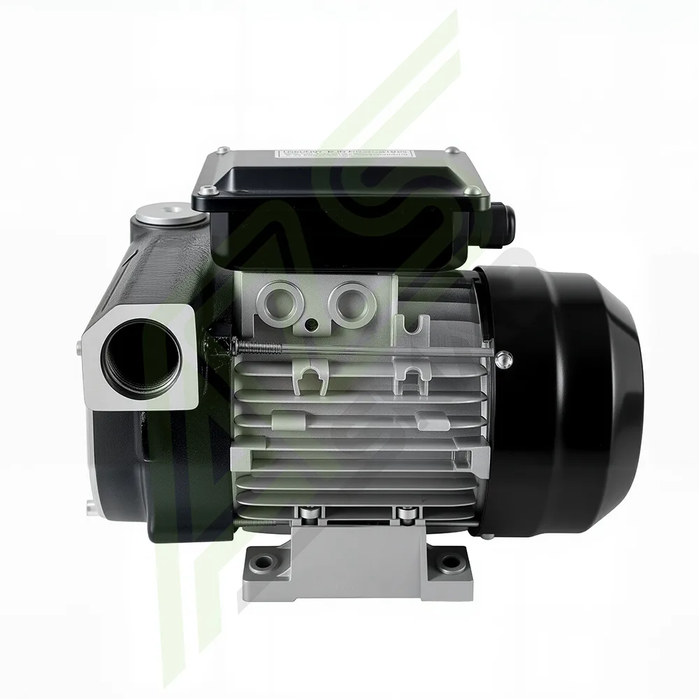 Насос для ДТ 220v, 80л/мин